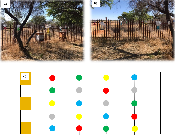 aerial view of the distribution of the color treatments from the three experimental hives..PNG